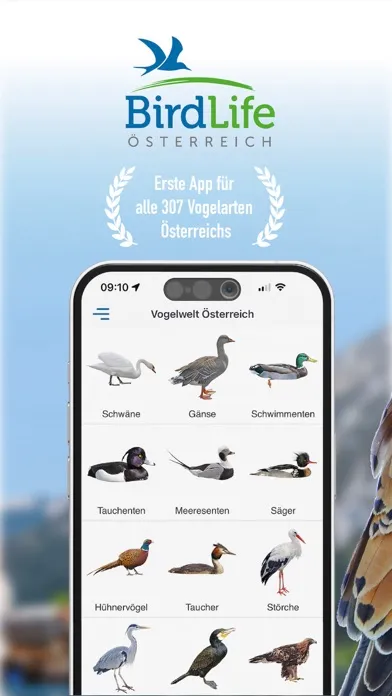 Vögel in Österreich Ekran Görüntüleri