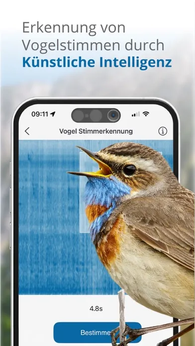 Vögel in Österreich Ekran Görüntüleri