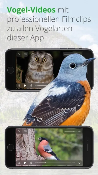 Vögel in Österreich Ekran Görüntüleri