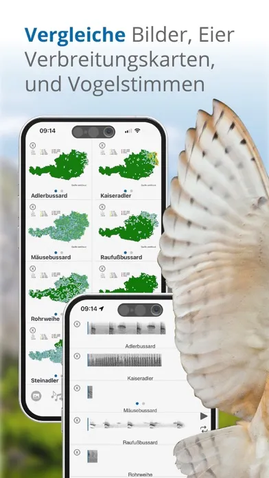 Vögel in Österreich Ekran Görüntüleri