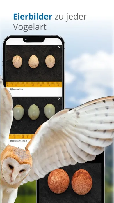 Vögel in Österreich Ekran Görüntüleri