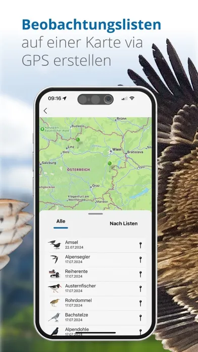 Vögel in Österreich Ekran Görüntüleri