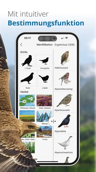 Vögel in Österreich Ekran Görüntüleri
