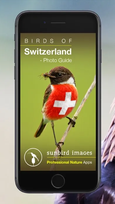 صور Birds of CH -Photo Guide