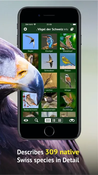 صور Birds of CH -Photo Guide
