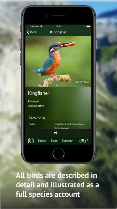 صور Birds of CH -Photo Guide