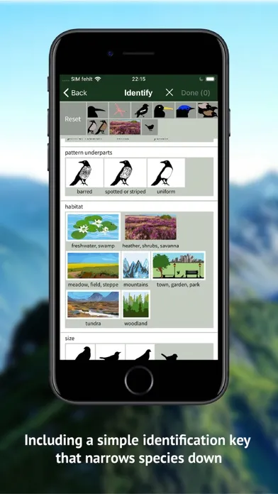صور Birds of CH -Photo Guide