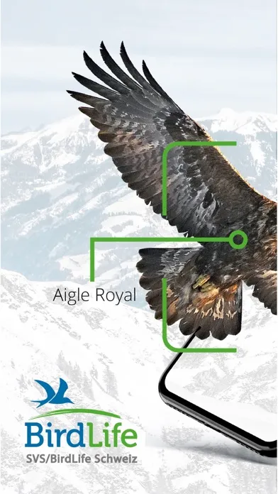 Tangkapan skrin Vogelführer Birdlife Schweiz