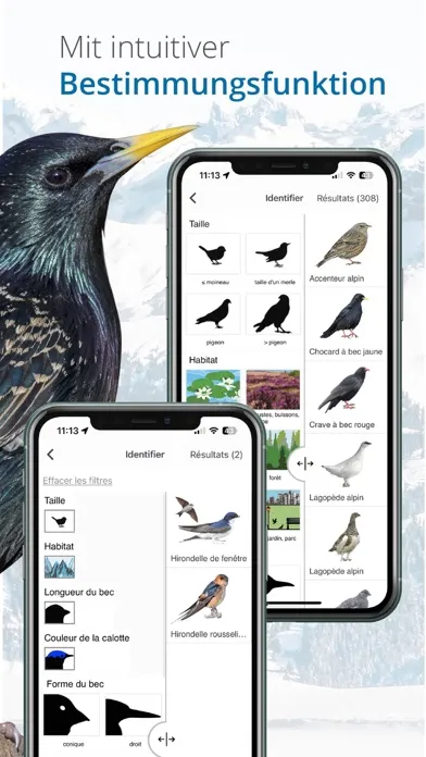 Tangkapan skrin Vogelführer Birdlife Schweiz