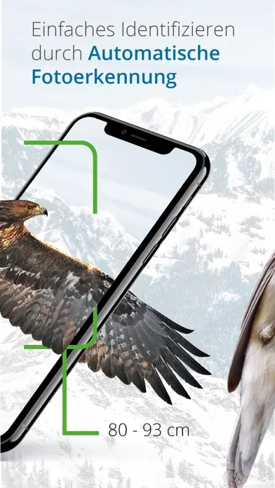 Tangkapan skrin Vogelführer Birdlife Schweiz
