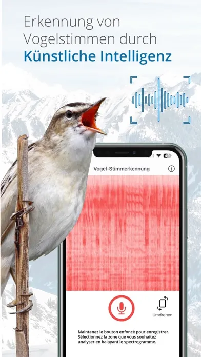 Tangkapan skrin Vogelführer Birdlife Schweiz