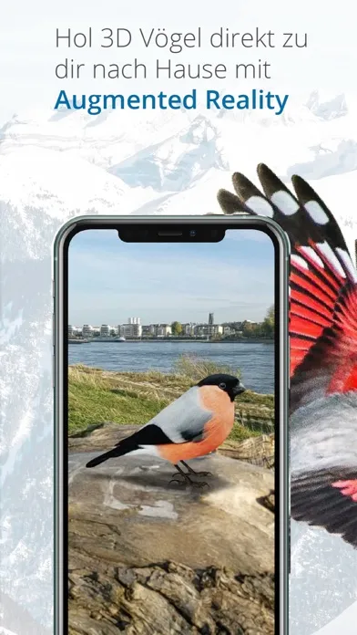 Tangkapan skrin Vogelführer Birdlife Schweiz