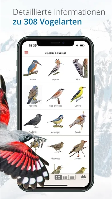 Tangkapan skrin Vogelführer Birdlife Schweiz