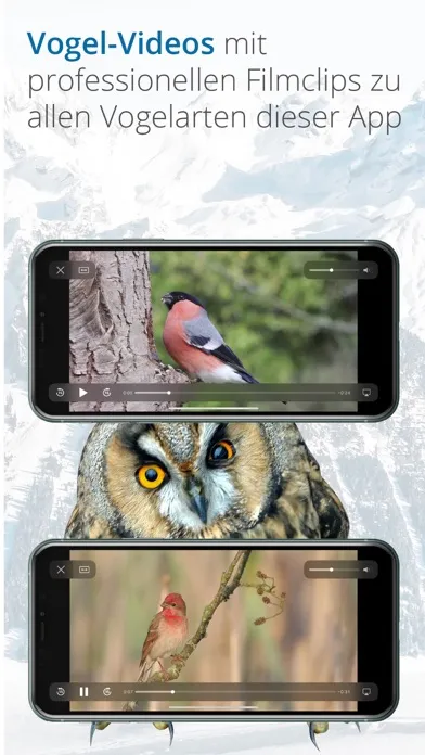 Tangkapan skrin Vogelführer Birdlife Schweiz