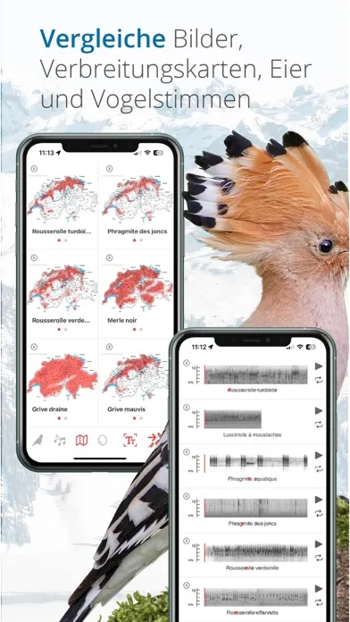 Tangkapan skrin Vogelführer Birdlife Schweiz