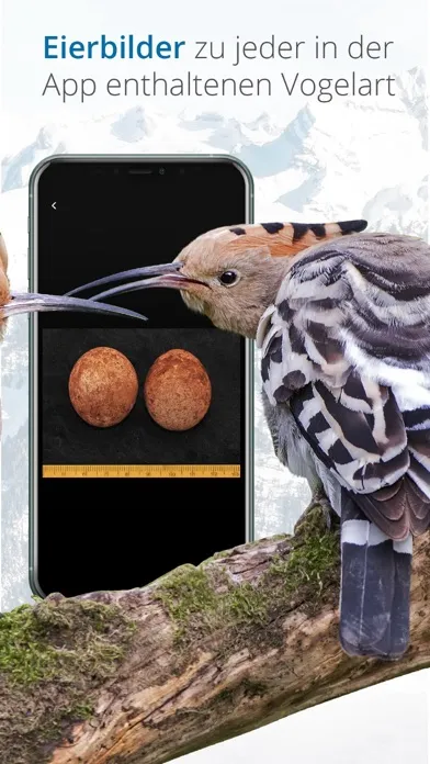 Tangkapan skrin Vogelführer Birdlife Schweiz