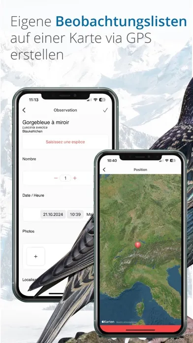 Tangkapan skrin Vogelführer Birdlife Schweiz