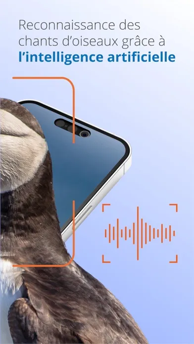 Ois'App - Oiseaux de France سکرین شاٹس