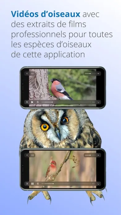 Ois'App - Oiseaux de France سکرین شاٹس