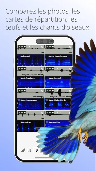 Ois'App - Oiseaux de France سکرین شاٹس