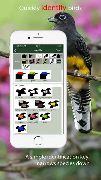 All Birds Colombia field guide应用截图