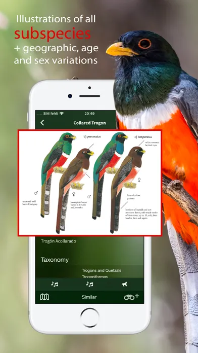 All Birds Colombia field guide应用截图