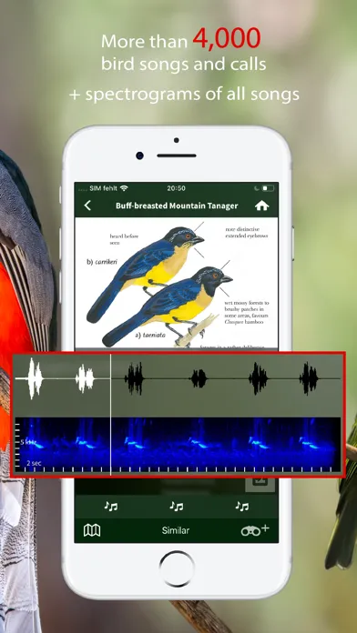 All Birds Colombia field guide应用截图