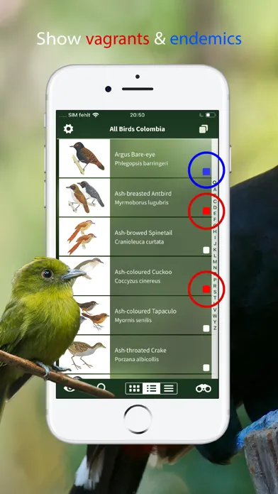 All Birds Colombia field guide应用截图