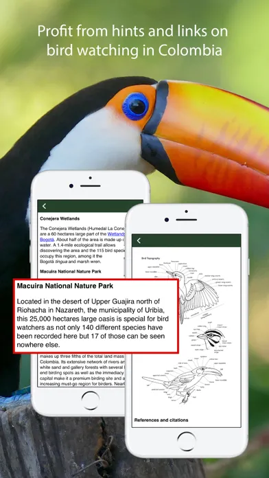 All Birds Colombia field guide应用截图