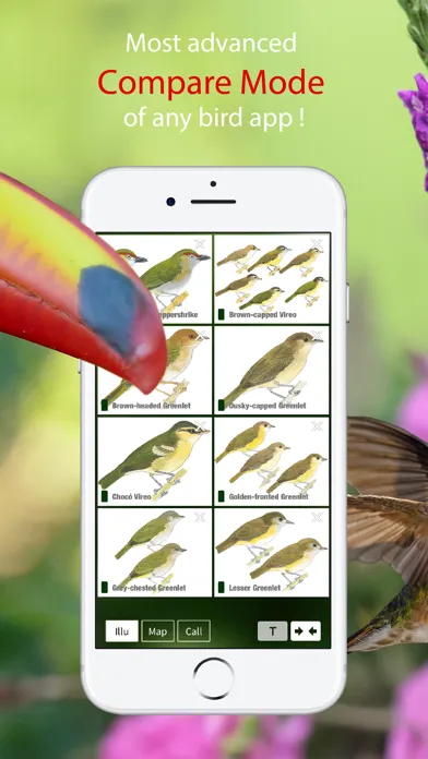All Birds Colombia field guide应用截图