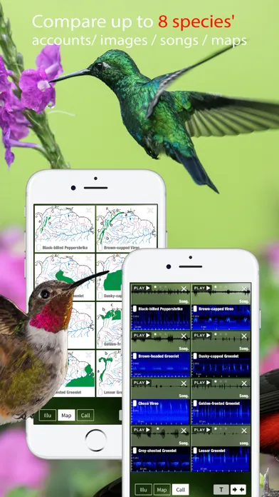 All Birds Colombia field guide应用截图