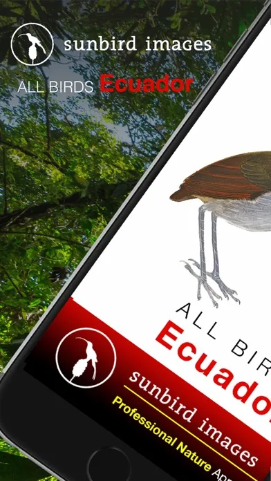 Скриншоты All Birds Ecuador field guide