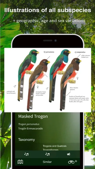 Скриншоты All Birds Ecuador field guide