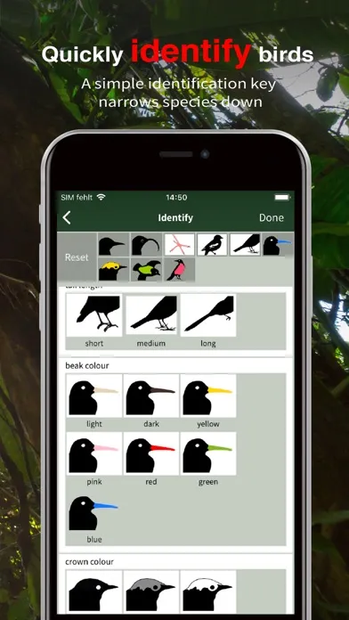 Скриншоты All Birds Ecuador field guide