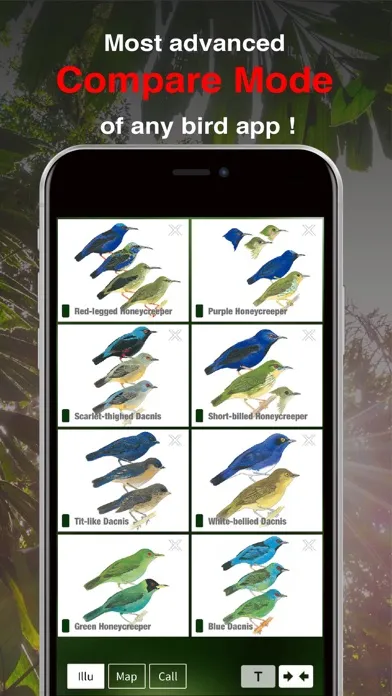 Скриншоты All Birds Ecuador field guide