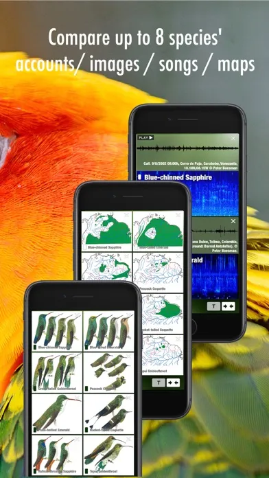 Capturas de pantalla de All Birds Guianas