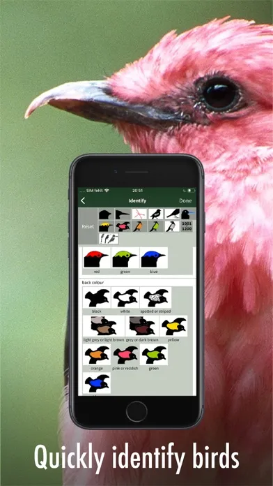 Capturas de pantalla de All Birds Guianas