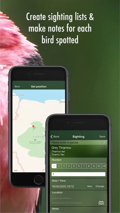 Capturas de pantalla de All Birds Guianas