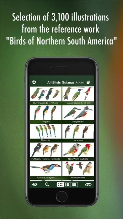 Capturas de pantalla de All Birds Guianas