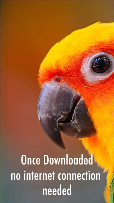 Capturas de pantalla de All Birds Guianas