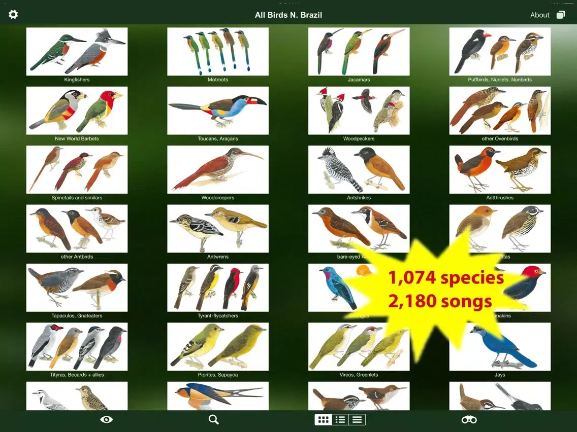 Zrzuty ekranu All Birds Northern Brazil - a field guide to all the bird species recorded in this region of South America iPad 