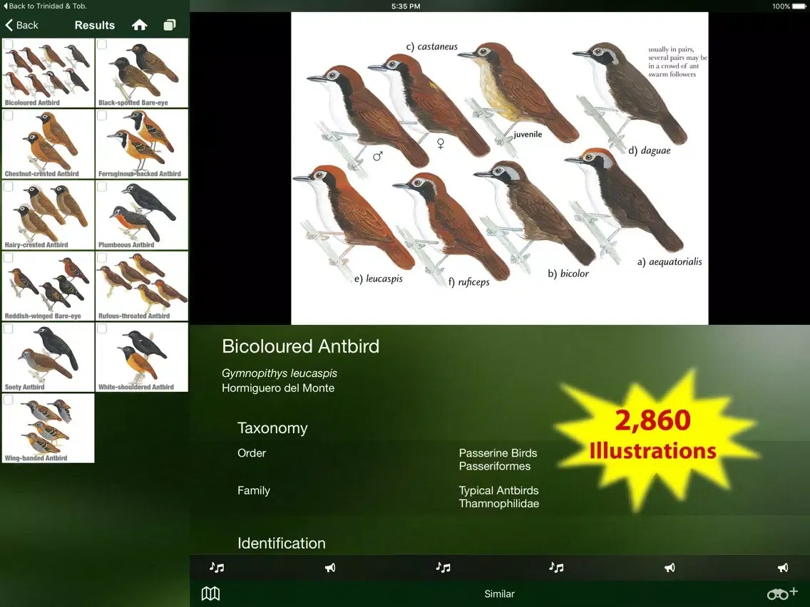 Zrzuty ekranu All Birds Northern Brazil - a field guide to all the bird species recorded in this region of South America iPad 