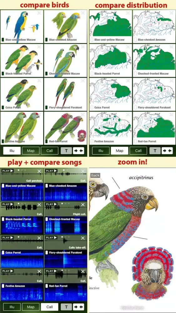 Zrzuty ekranu All Birds Northern Brazil - a field guide to all the bird species recorded in this region of South America