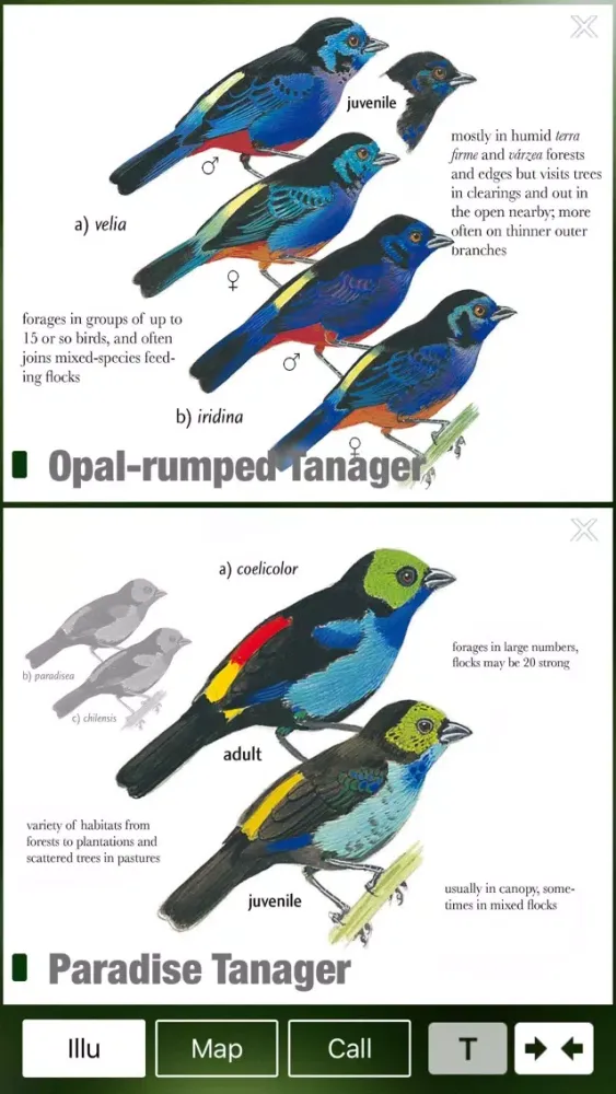 Zrzuty ekranu All Birds Northern Brazil - a field guide to all the bird species recorded in this region of South America