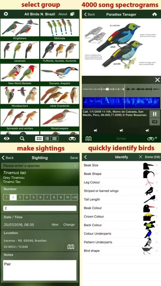 Zrzuty ekranu All Birds Northern Brazil - a field guide to all the bird species recorded in this region of South America