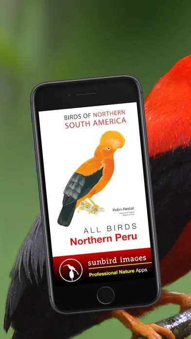 Capturas de pantalla de All Birds Northern Peru