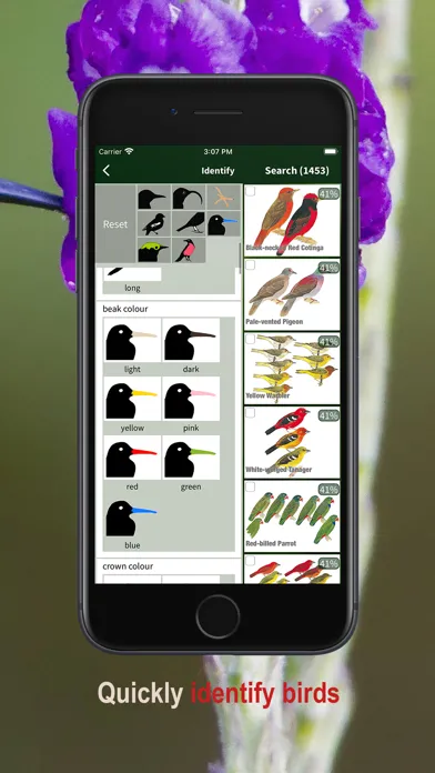 Capturas de pantalla de All Birds Northern Peru