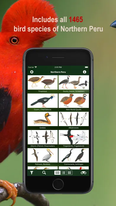 Capturas de pantalla de All Birds Northern Peru