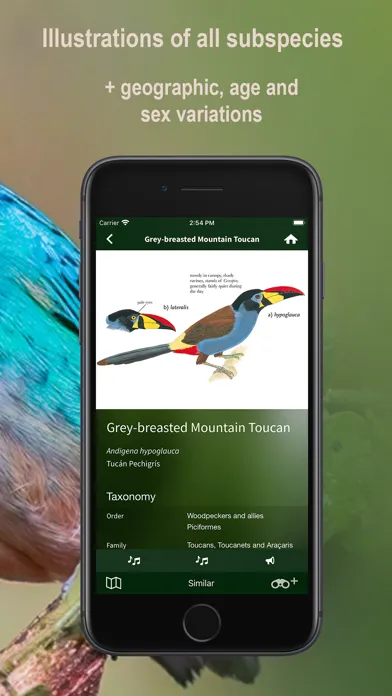 Capturas de pantalla de All Birds Northern Peru