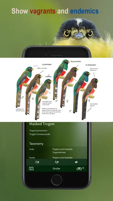 Capturas de pantalla de All Birds Northern Peru